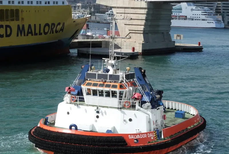 SALVADOR DALI General Cargo IMO 9328950