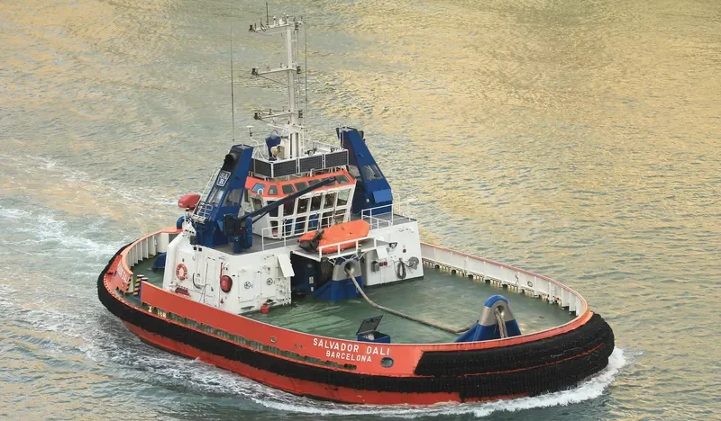 SALVADOR DALI General Cargo IMO 9328950 photo 8