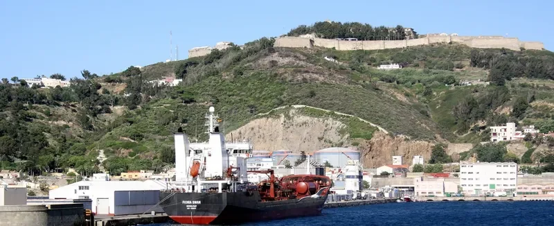 FIONIA SWAN Tanker IMO 9328974 photo 2