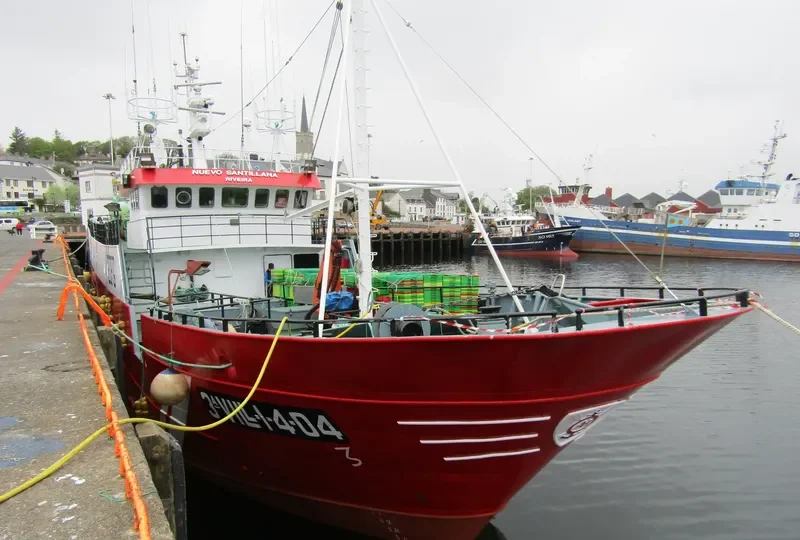 NUEVO SANTILLANA General Cargo IMO 9329186 photo 4