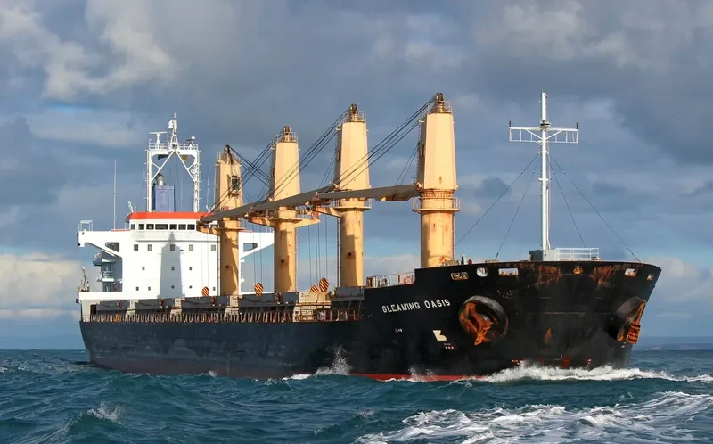 HTK NEPTUNE Bulk Carrier IMO 9329411