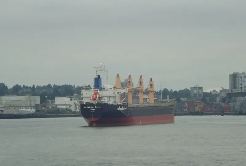 HTK NEPTUNE Bulk Carrier IMO 9329411 photo 3