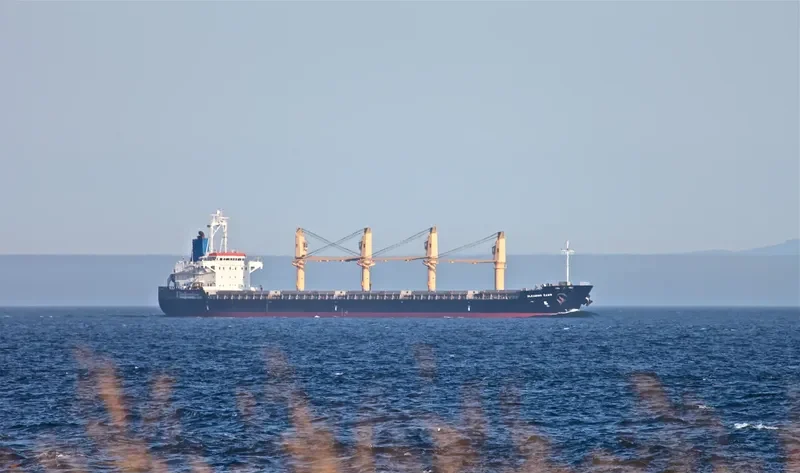 HTK NEPTUNE Bulk Carrier IMO 9329411 photo 4
