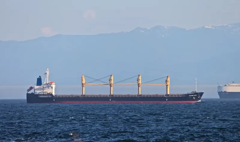 HTK NEPTUNE Bulk Carrier IMO 9329411 photo 5