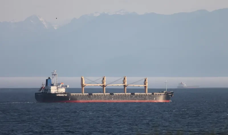 HTK NEPTUNE Bulk Carrier IMO 9329411 photo 6