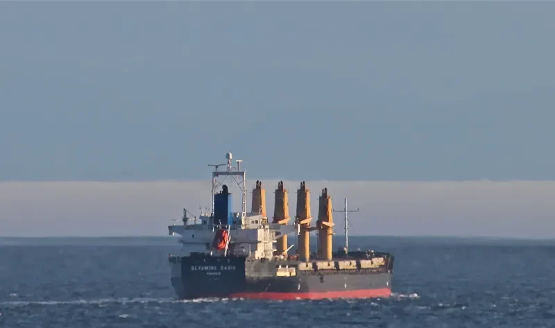 HTK NEPTUNE Bulk Carrier IMO 9329411 photo 7
