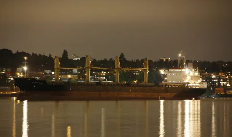 HTK NEPTUNE Bulk Carrier IMO 9329411 photo 8