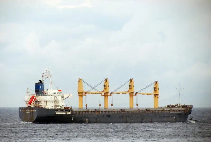 HTK NEPTUNE Bulk Carrier IMO 9329411 photo 9