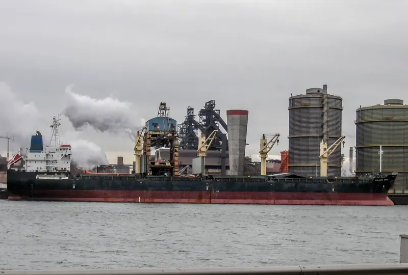SUPER LYDIA Bulk Carrier IMO 9329423 photo 4