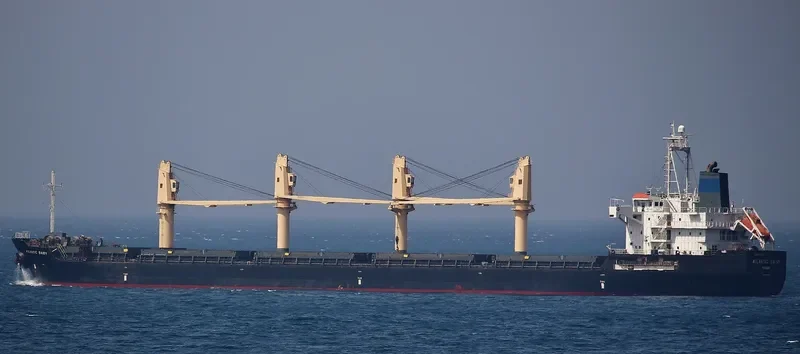 SUPER LYDIA Bulk Carrier IMO 9329423 photo 6