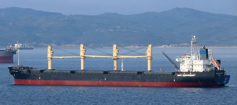 SUPER LYDIA Bulk Carrier IMO 9329423 photo 8