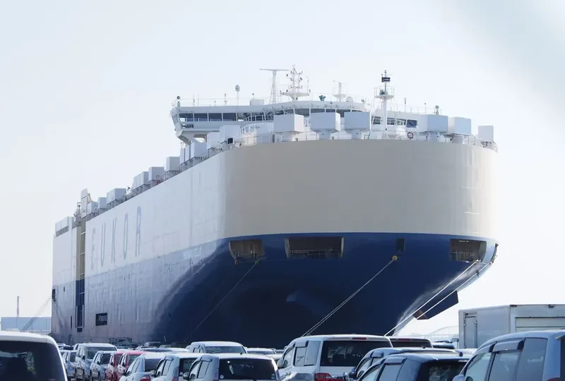 MORNING CELLO General Cargo IMO 9329461 photo 2