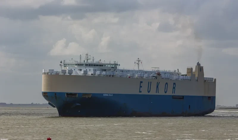MORNING CELLO General Cargo IMO 9329461 photo 4