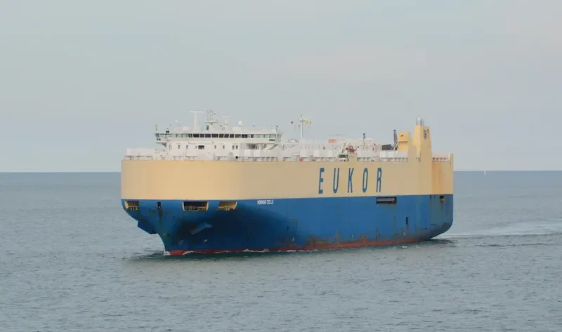 MORNING CELLO General Cargo IMO 9329461 photo 10