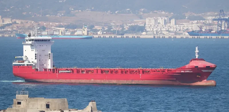 ALOPO Container Ship IMO 9329564 photo 5