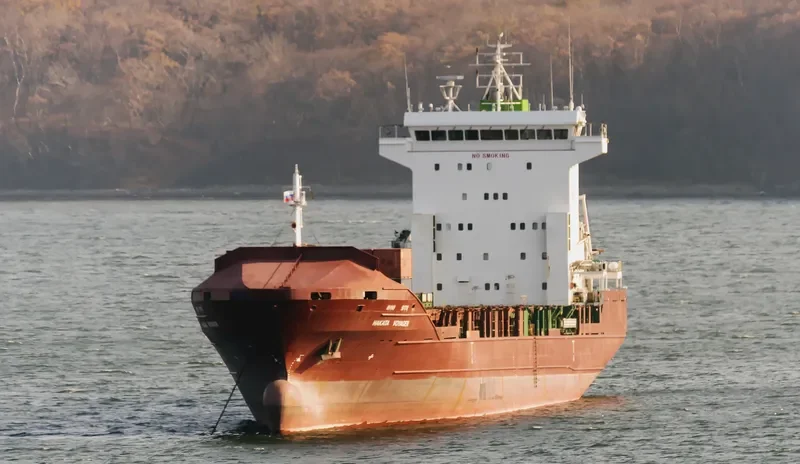 HAKATA VOYAGER Container Ship IMO 9329588 photo 9