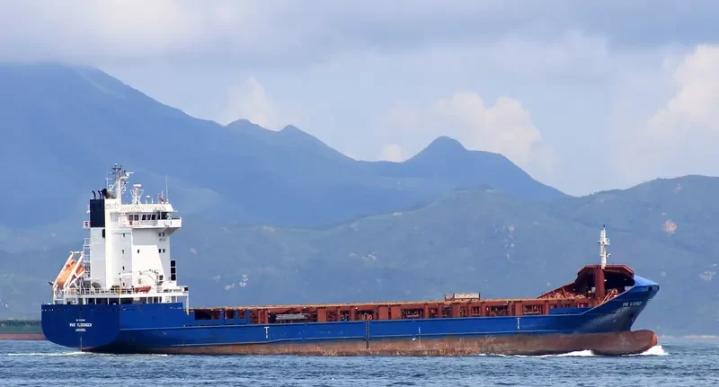VOSTOCHNY VOYAGER Container Ship IMO 9329590 photo 10
