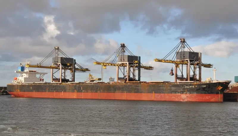 SATORI Bulk Carrier IMO 9329801 photo 4