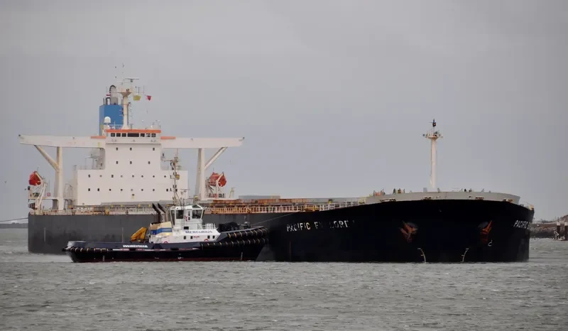 SATORI Bulk Carrier IMO 9329801 photo 5