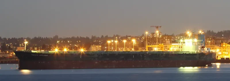 SATORI Bulk Carrier IMO 9329801 photo 6