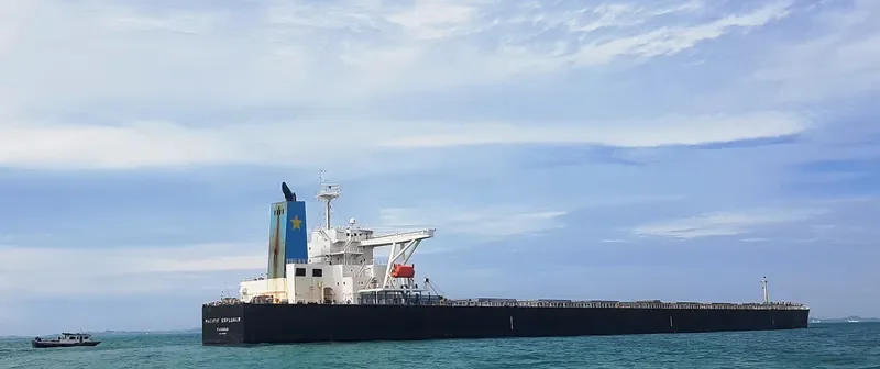 SATORI Bulk Carrier IMO 9329801 photo 7