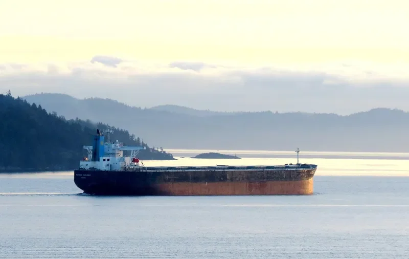 SATORI Bulk Carrier IMO 9329801 photo 8