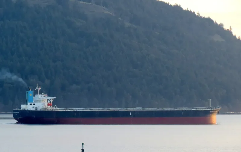 SATORI Bulk Carrier IMO 9329801 photo 10