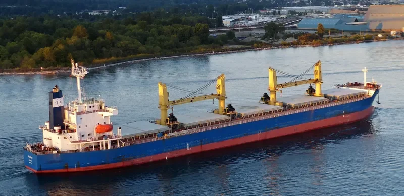 ATALANTI SB Bulk Carrier IMO 9329813 photo 3