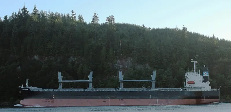 LUMOSO LESTARI Bulk Carrier IMO 9329825 photo 2