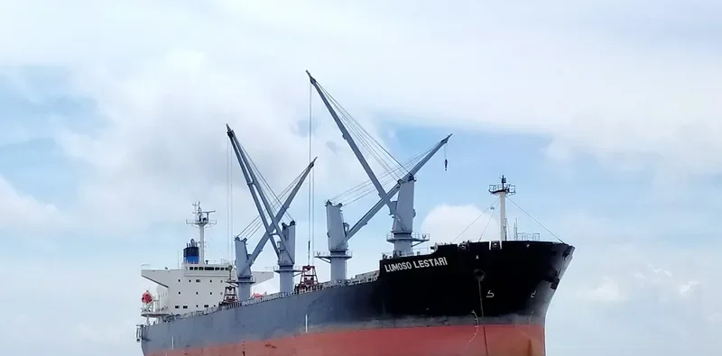 LUMOSO LESTARI Bulk Carrier IMO 9329825 photo 5