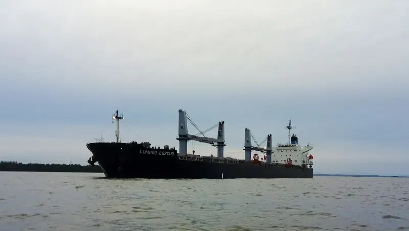 LUMOSO LESTARI Bulk Carrier IMO 9329825 photo 6
