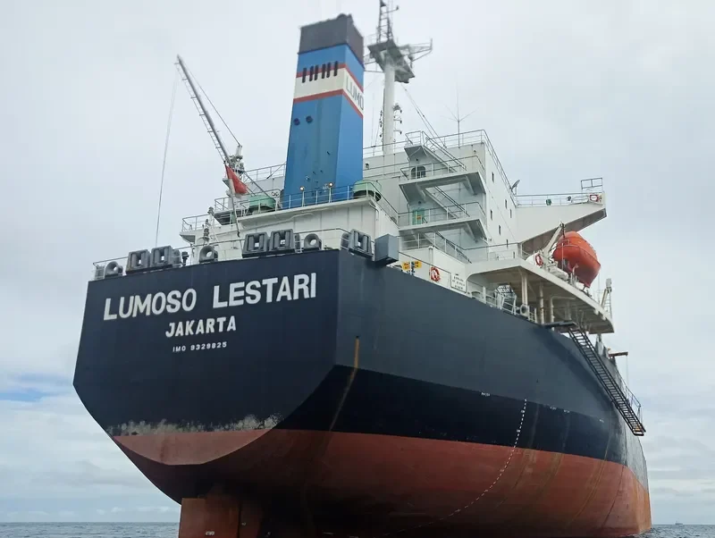 LUMOSO LESTARI Bulk Carrier IMO 9329825 photo 7
