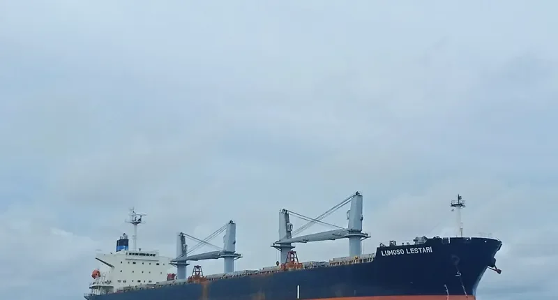 LUMOSO LESTARI Bulk Carrier IMO 9329825 photo 8