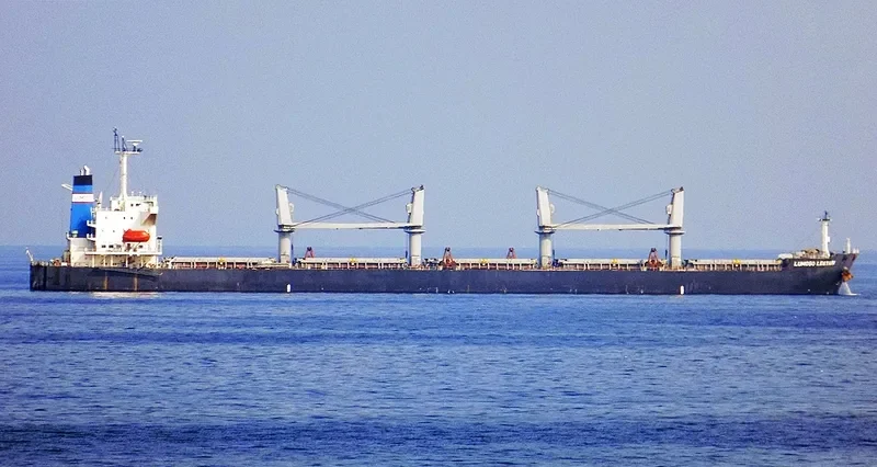 LUMOSO LESTARI Bulk Carrier IMO 9329825 photo 9
