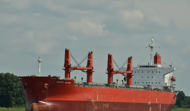 ABDUL HAMID Bulk Carrier IMO 9329837 photo 7