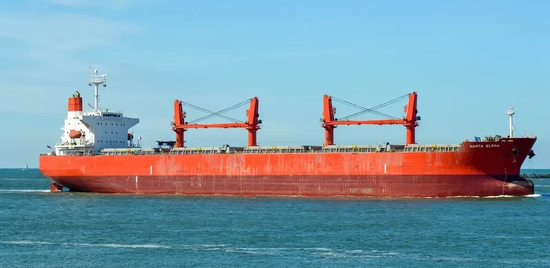 ABDUL HAMID Bulk Carrier IMO 9329837 photo 9