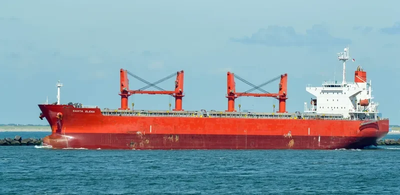 ABDUL HAMID Bulk Carrier IMO 9329837 photo 10