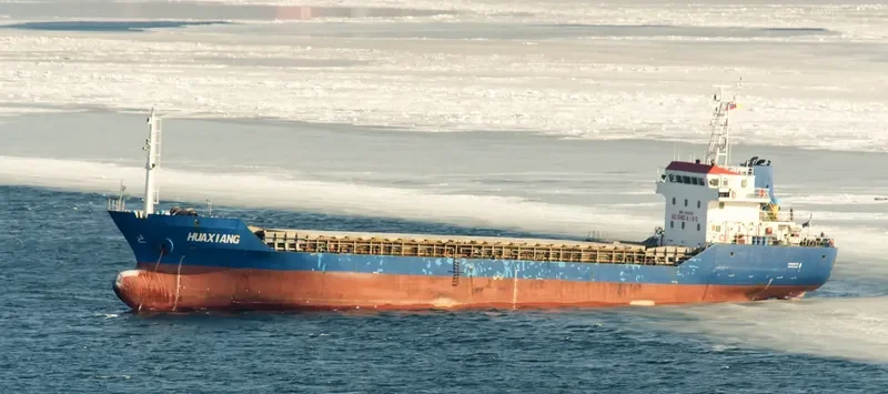 HUAXIANG Bulk Carrier IMO 9330018 photo 2