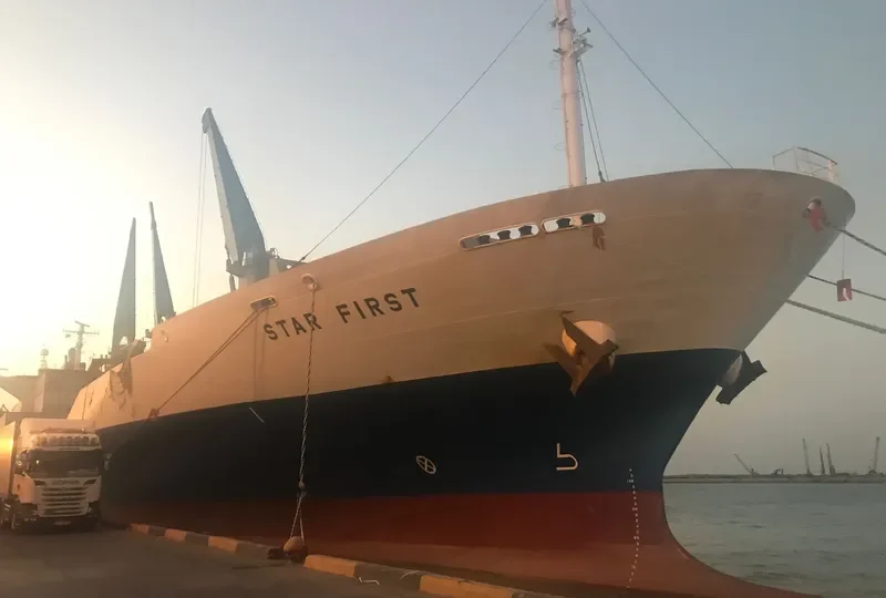 STAR FIRST General Cargo IMO 9330056