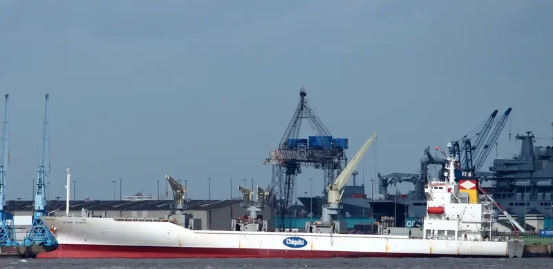 STAR FIRST General Cargo IMO 9330056 photo 9