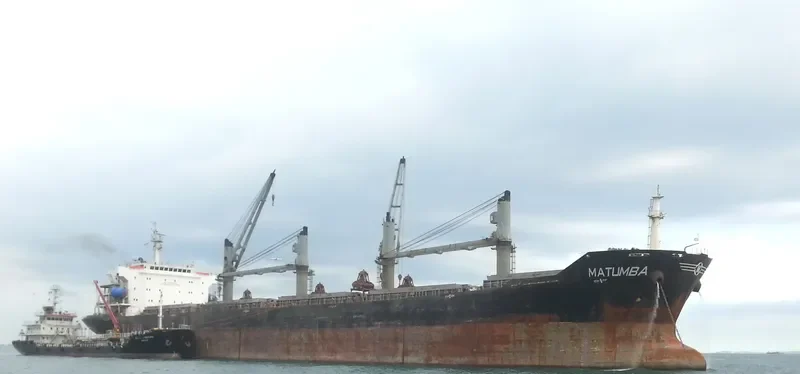 BAO WEALTH Bulk Carrier IMO 9330082