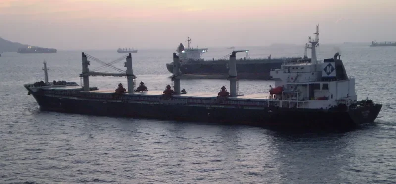 BAO WEALTH Bulk Carrier IMO 9330082 photo 2