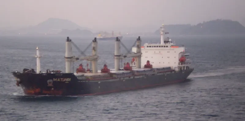 BAO WEALTH Bulk Carrier IMO 9330082 photo 3