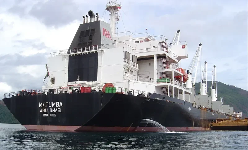 BAO WEALTH Bulk Carrier IMO 9330082 photo 4