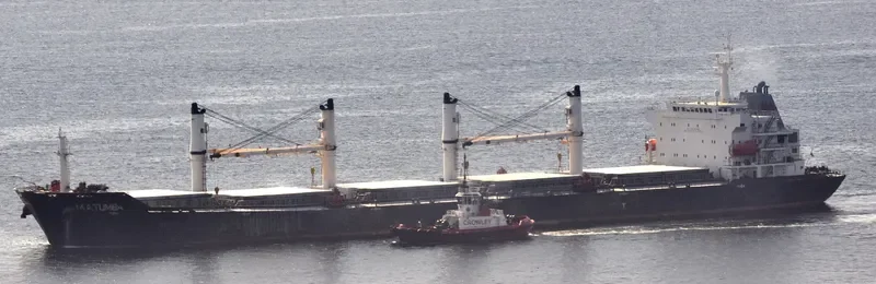 BAO WEALTH Bulk Carrier IMO 9330082 photo 5