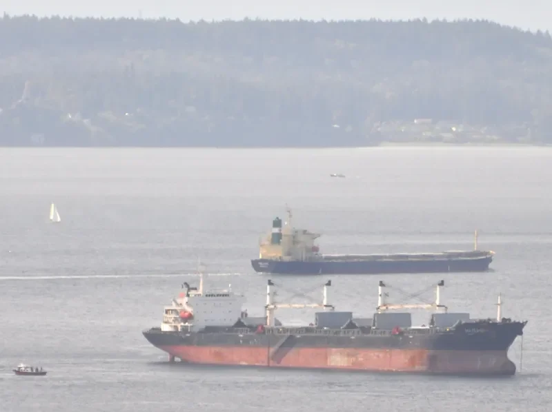 BAO WEALTH Bulk Carrier IMO 9330082 photo 6