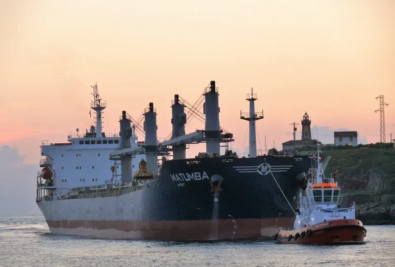 BAO WEALTH Bulk Carrier IMO 9330082 photo 7