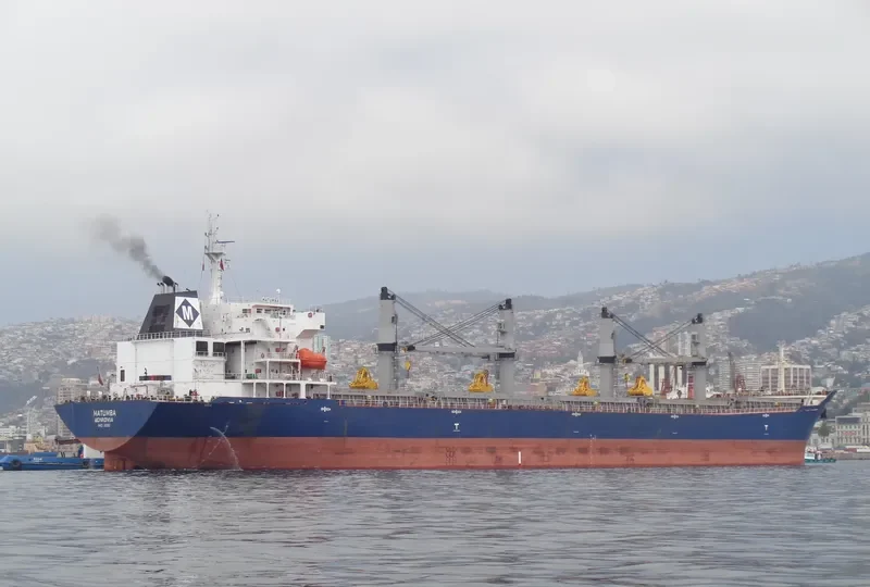 BAO WEALTH Bulk Carrier IMO 9330082 photo 8