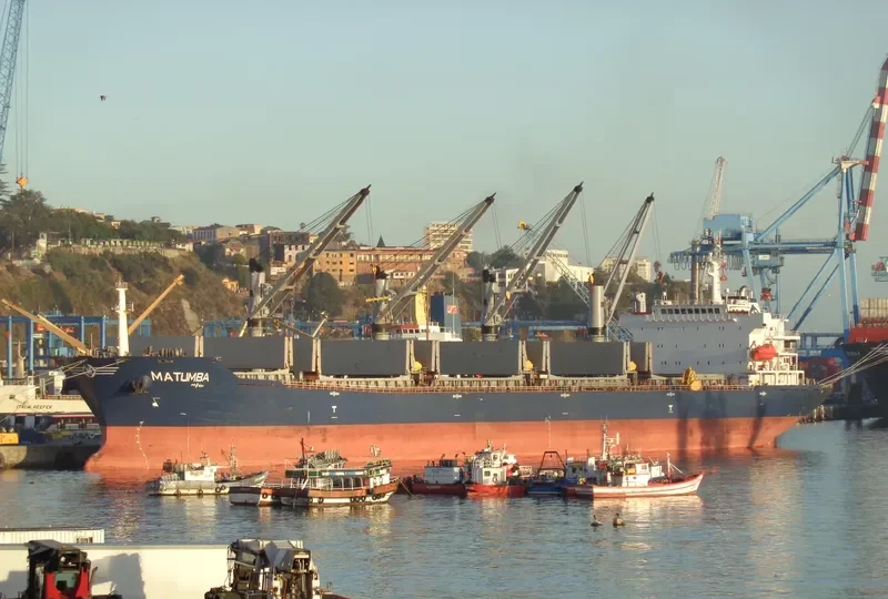BAO WEALTH Bulk Carrier IMO 9330082 photo 9