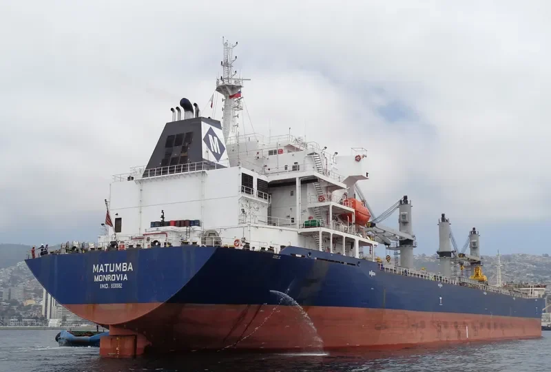 BAO WEALTH Bulk Carrier IMO 9330082 photo 10
